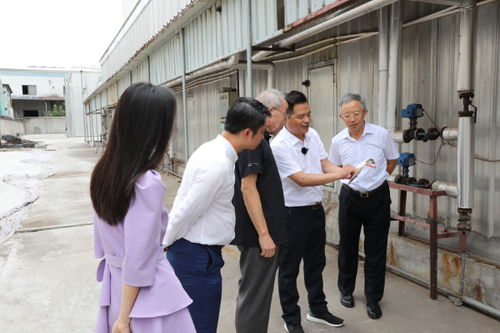 大国工厂 深入中信红木,鉴证智能引航的信赖实力