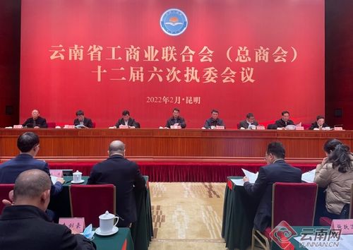 云南省工商联 总商会 十二届六次执委会提出 提升服务效能 积极助推我省一流营商环境建设