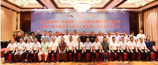 发挥协会商会作用 助推电气行业发展