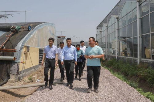 工商联农产品流通商会与岭泉镇人民政府签约万企兴万村合作协议